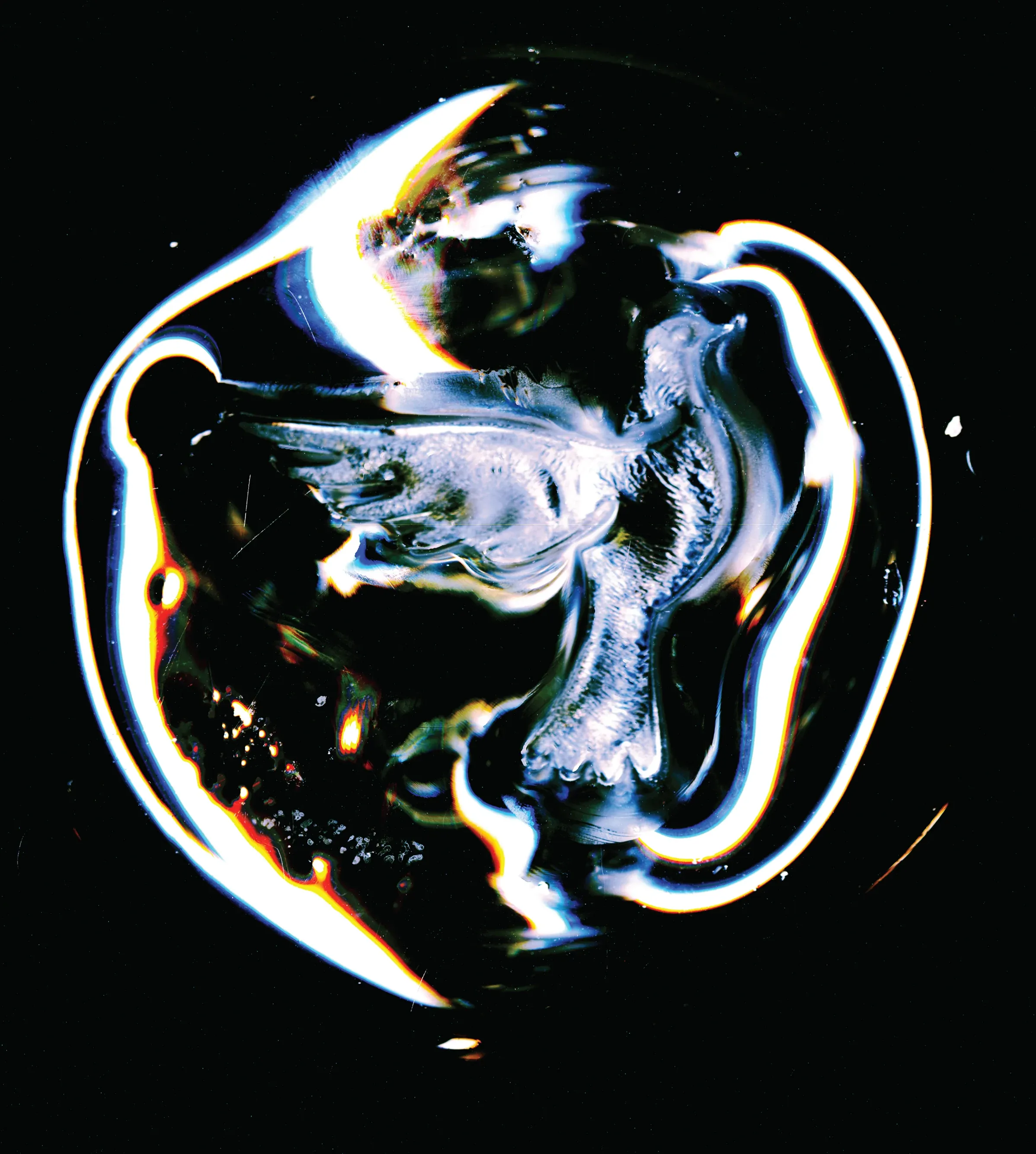 Safe Poster, image 6