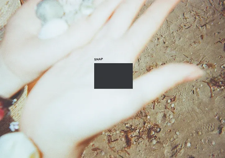 Snap Branding, image 2