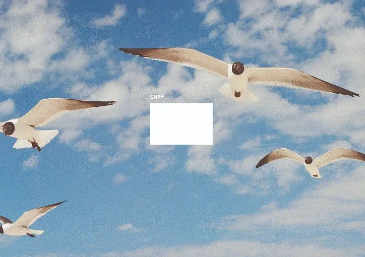 Snap Branding, image 6