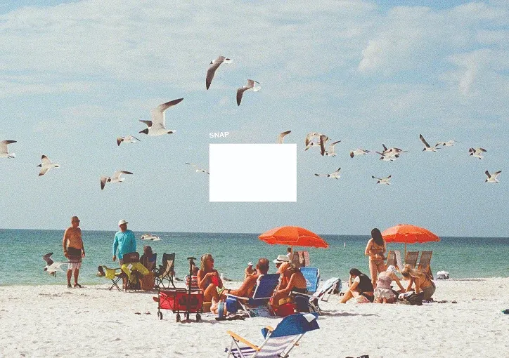 Snap Branding, image 4