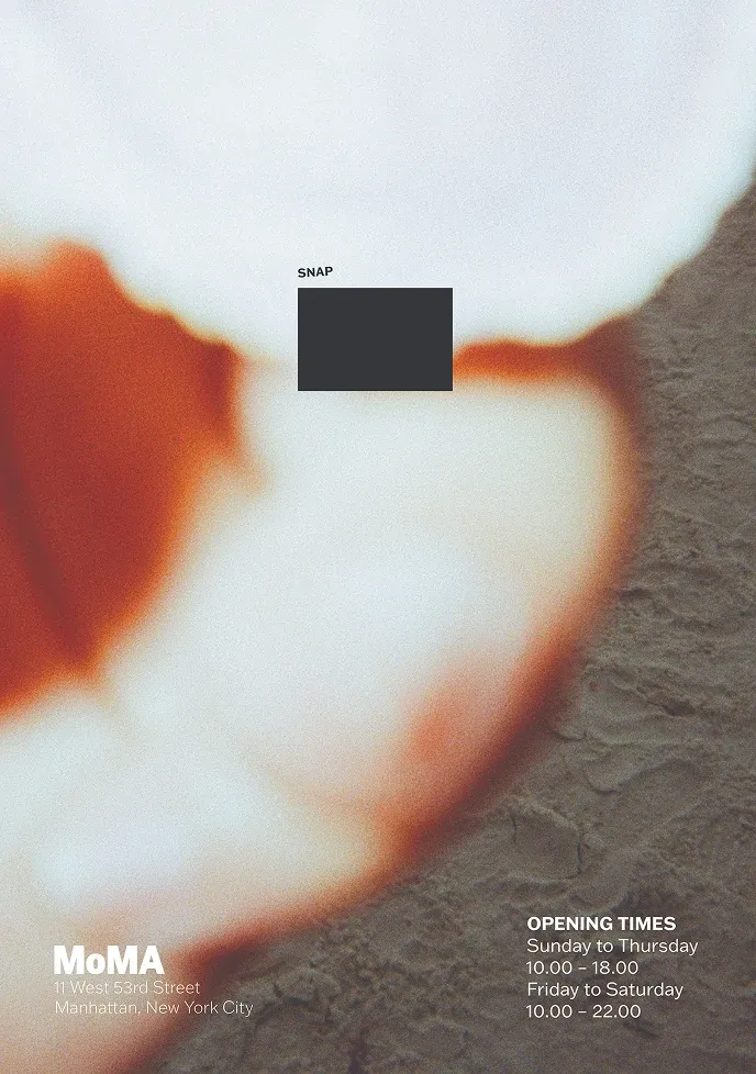 Snap Branding, image 7